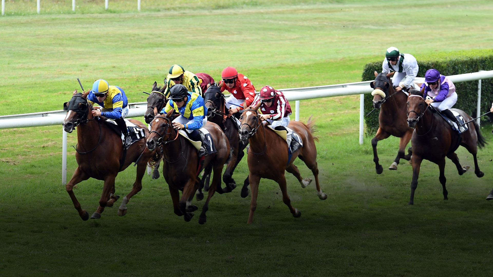 L Hippodrome De Dax R Ouvre Le Mai Hippodrome De Dax